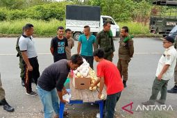 Satpol PP tertibkan penjual buah di pinggir jalan lintas