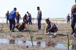 Polres Pasaman Barat tanam pohon bakau dan cemara di Pantai Sasak untuk cegak abrasi
