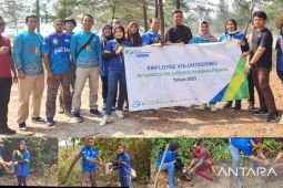 Go Green Bpjamsostek Pangkalpinang, 300 Bibit Tanaman Untuk Hijaukan Pantai