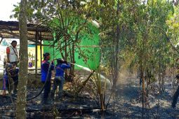 BPBD Tapin selamatkan bangunan SD Negeri dari karhutla