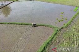Menjaga dan tingkatkan kesejahteraan petani dengan optimalisasi sistem irigasi