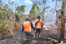 BPBD Kalbar kerahkan 60 personel padamkan karhutla di Kubu Raya