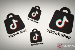 Cinta dan benci, TikTok Shop menghantui usaha kelas kecil Indonesia?
