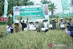 Kalbar optimistis  produksi padi capai target 863.898 ton GKG