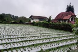 Pola hidup sehat dengan konsumsi makanan organik