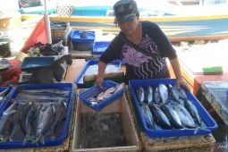 PIP Kemenkeu salurkan Rp138,1 miliar untuk pembiayaan usaha ultra mikro di Bali
