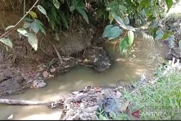 DLH Mukomuko minta perusahaan hentikan buang limbah ke sungai