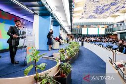 Mentan minta dunia kerjasama hadapi tantangan global