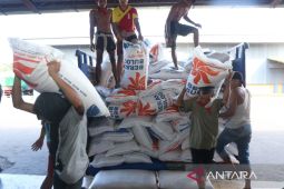 Bulog Banyuwangi pastikan stok beras aman hingga tujuh bulan ke depan