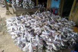 Pelaku UMKM gula aren Lebak tumbuhkan ekonomi pedesaan