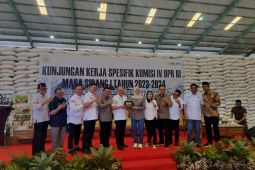 Bulog: Terkait harga beras, kami harus imbang di dua sisi
