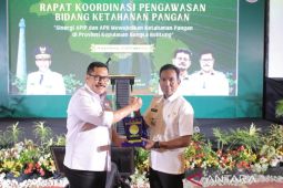 Penguatan sinergitas dan kolaborasi pengawasan kunci wujudkan ketahanan pangan