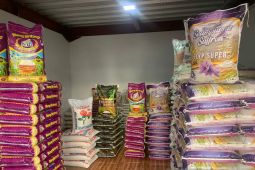 Harga Beras di Banda aceh Tembus Rp210.000 per sak