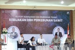 Alokasi DBH Sawit Kotabaru tertinggi di Kalsel