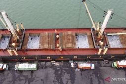 Bulog jamin persediaan beras pemerintah aman hingga panen tahun depan