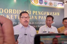 Kementan: Babel manfaatkan bekas tambang sebagai embung pertanian