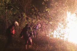 BPBD Semarang tangani empat kebakaran di hari yang sama