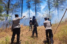 Kebakaran lahan di Malino diperkirakan delapan hektare