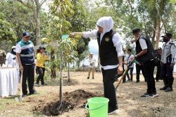 Pemprov Jatim kuatkan gerakan tanam pohon hadapi perubahan iklim
