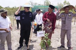 Irjen Kementan gelar gerakan menanam di Ponpes Belitung