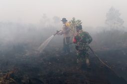 Tim gabungan padamkan kebakarna lahan di perbatasan Kota Palangka Raya-Pulpis