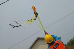 PLN imbau masyarakat tidak bermain layang-layang dekat kabel listrik bertegangan