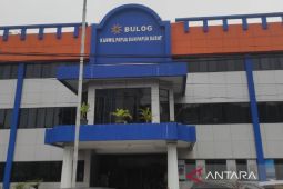 Bulog beli 16.577 ton beras dari petani Merauke