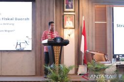Pemprov Babel diharapkan tingkatkan kapasitas fiskal
