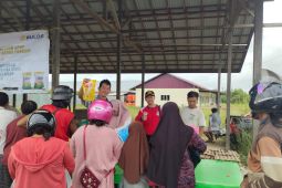 Pemkab Kapuas Hulu-Bulog optimalkan operasi pasar beras
