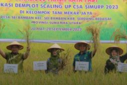 Petani di Sergai terapkan SIMURP untuk tingkatkan hasil panen