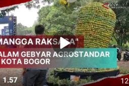"Mangga Raksasa" dalam Gebyar Agrostandar di Kota Bogor