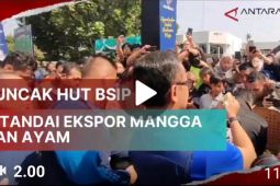 Puncak HUT BSIP ditandai ekspor mangga dan ayam