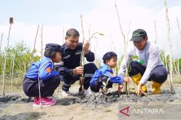 PT Timah tanam ribuan mangrove dan ratusan pohon buah di wilayah operasional