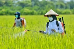 Pemkab Banyuwangi terapkan RTTG antisipasi dampak fenomena El Nino
