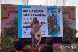 BKP: Ekspor komoditas pertanian Babel Rp15,4 miliar