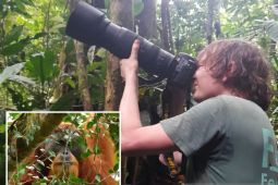 Pariwara-Turis asing ke Tapsel mulai banyak, destinasi yang dikunjungi...?