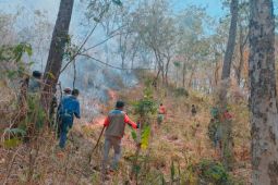 BPBD Bali minta warga selalu waspada karhutla di lereng Gunung Agung