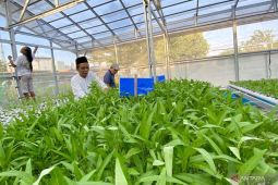 DKI sejak 2014 sudah miliki 251 Proklim sebagai adaptasi dampak perubahan iklim