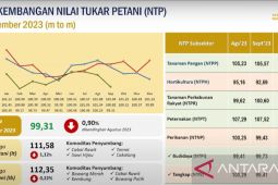 BPS catat Nilai Tukar Petani Papua Barat turun 0,90 persen