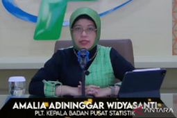 BPS catat NTP September 2023 naik 2,05 persen dipicu produksi tanaman pangan