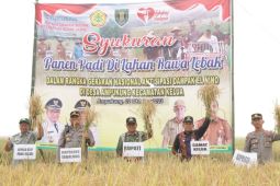 Bupati Tabalong optimis pemanfaatan lebak Desa Ampukung bisa optimal