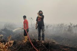 BPBD Jambi: Karhutla mencapai 550,33 hektare pada Januari-September