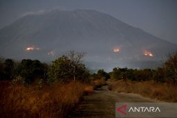 BPBD Bali ajukan perpanjangan status siaga darurat sampai Desember