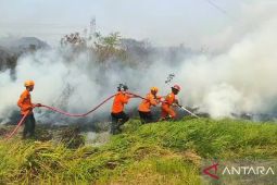 Damkar Kota Cilegon tangani 120 kebakaran sepanjang Januari-September