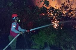 BMKG Balikpapan deteksi 100 titik panas di Kaltim