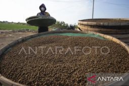 DKP Kaltim dorong pembuatan pakan ikan mandiri