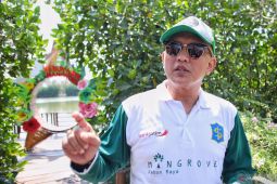 Pengunjung Kebun Raya Mangrove naik signifikan