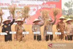 Wakapolri tanam dan panen raya di Kalsel di tengah ancaman dampak El Nino