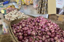 Bawang merah beri andil deflasi tertinggi di Denpasar dan Singaraja