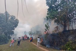 Kompleks rumah dinas di Seluma kebakaran